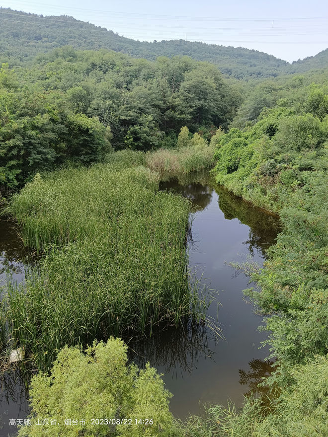 山顶废弃公园